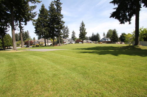 Lower level fireplace